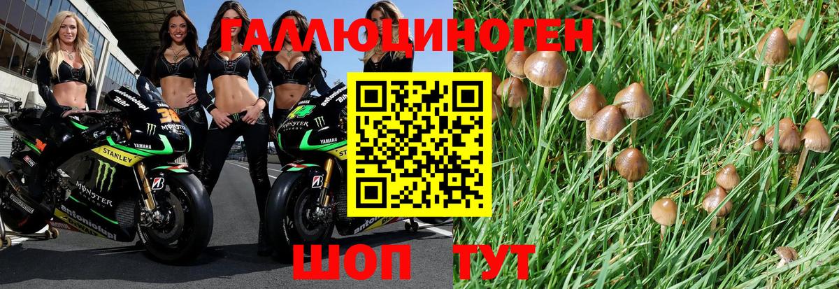 Галлюциногенные грибы прущие грибы  закладка  Котельники  Вход с VPN 