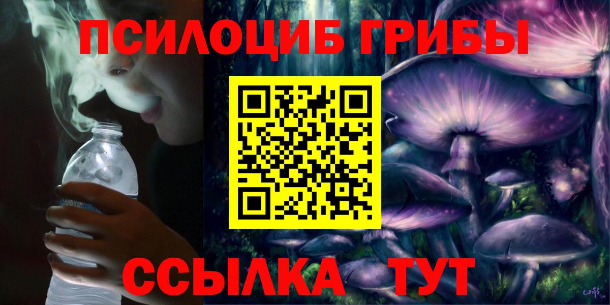 Псилоцибиновые грибы Psilocybe Котельники